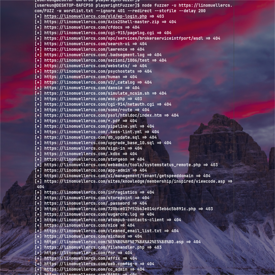 Portfolio Website